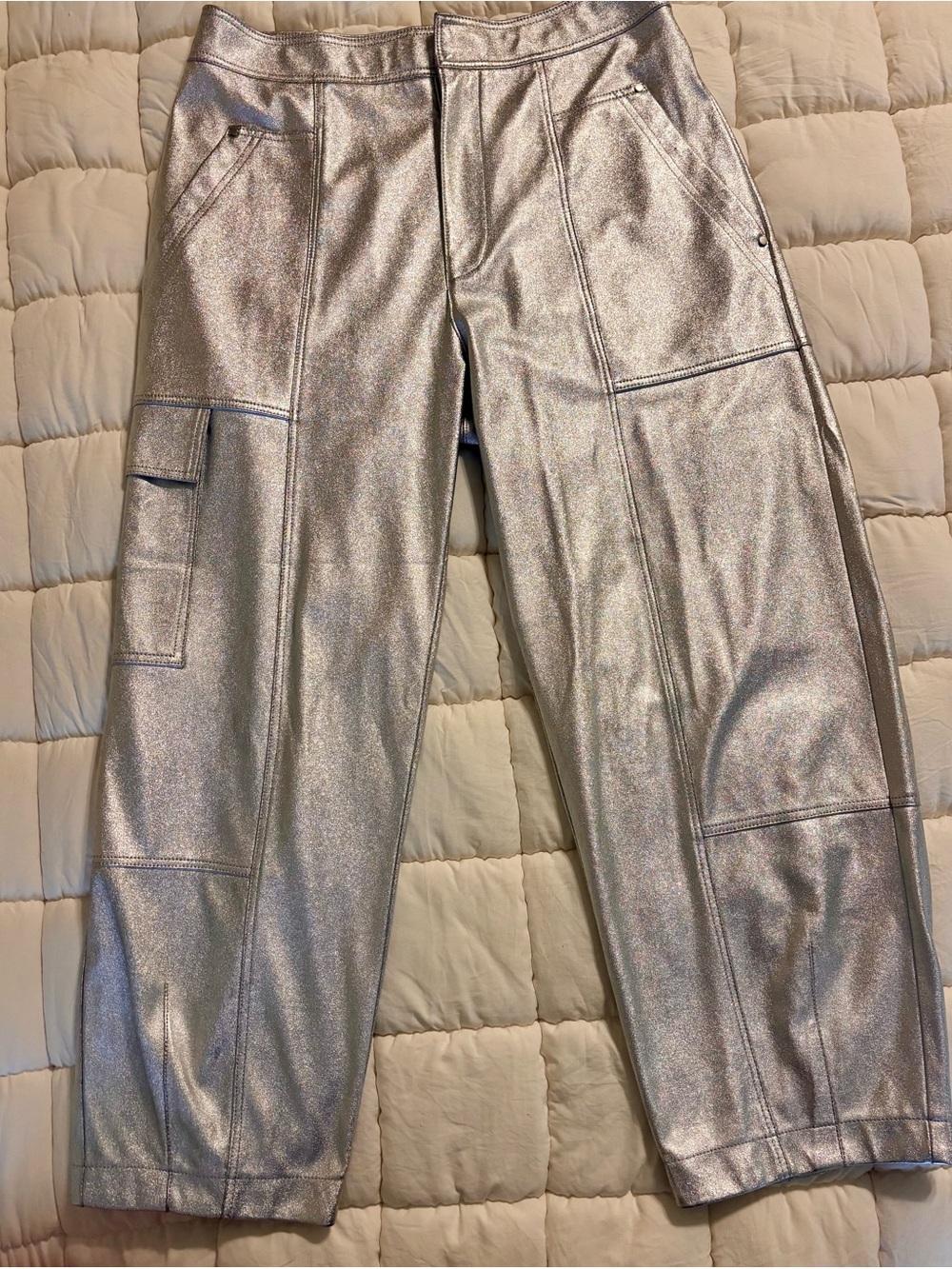 Anthropologie Metallic Silver Cargo Pants